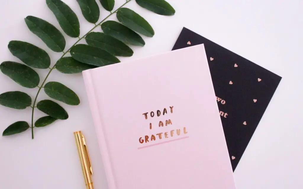 gratitude, journal