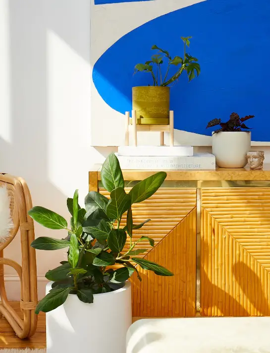 Best Desk Layout For Productivity, plants